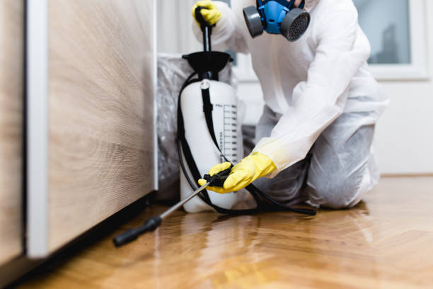 Best Pest Control for Restaurants  in Warren, PA