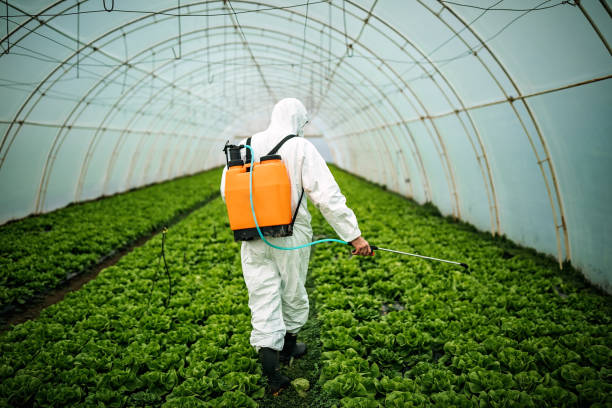 Best Best Pest Control Companies  in Warren, PA