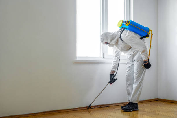 Best Wildlife Control Services  in Warren, PA