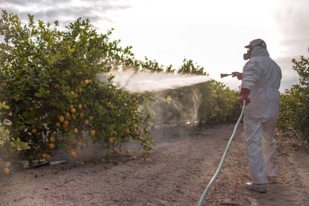 Best Exterminator Services  in Warren, PA
