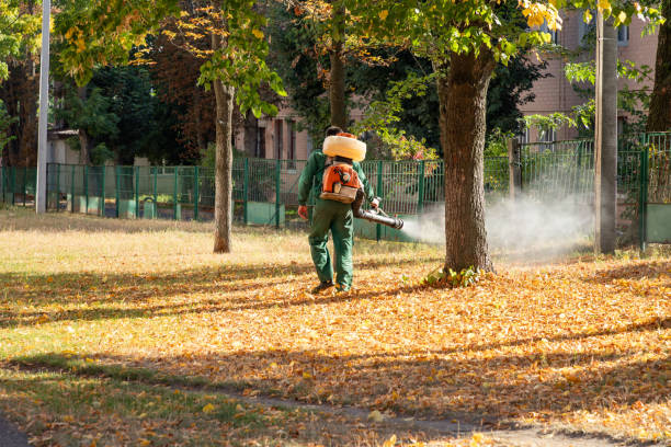 Pest Control for Restaurants in Warren, PA